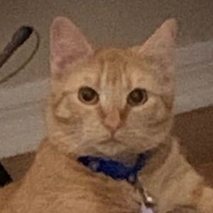 Meet your Posher, Eros